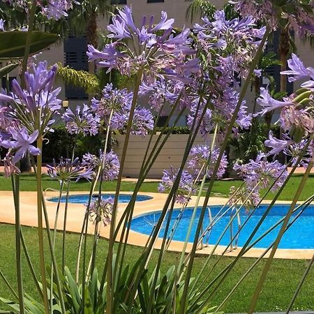 Apartment De Jardines Dénia Extérieur photo